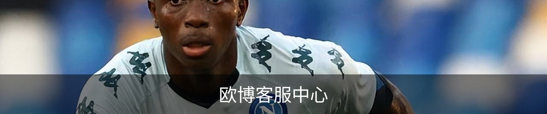 欧博客服中心